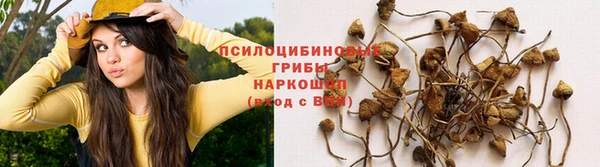 МДПВ Корсаков